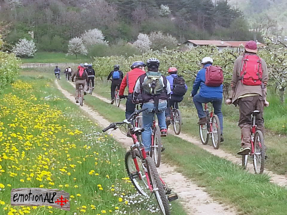 Enogastronomia Valle Grana